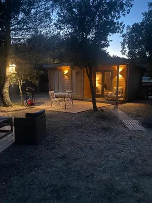 a log cabin with a picnic table and a tree at Éco Lodge - Nature et Spa in Aurons
