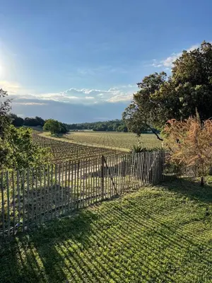 a fence with a tree and a grass field at Domaine Camp Fourca in Mirabeau