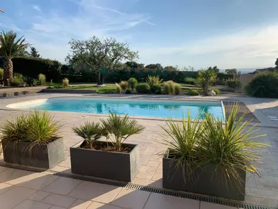a swimming pool with three potted plants in a courtyard at Studio le soleil couchant in Saint-Saturnin-lès-Avignon