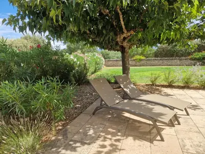 a chair sitting under a tree in a garden at Villa Trempadou in Gordes