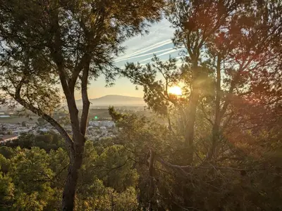 a view of the sun shining through the trees at Charme, vue et piscine naturelle in Vedène