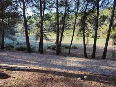 a group of trees in a field with a road at Escapade sous les pins 20m2 in Aurons