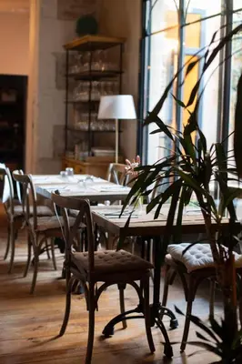 a dining room with a table and chairs and a plant at La Maison Clémenceau in Salon-de-Provence