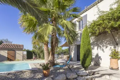 a villa with a palm tree and a swimming pool at Source de Vie in Noves