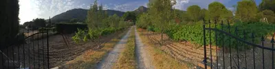 a farm with a fence and a dirt road at Domaine entier au havre de paix 4 chambres in Vauvenargues