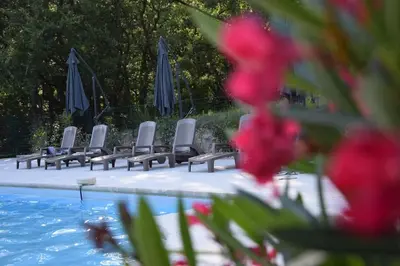 a row of chairs next to a pool with umbrellas at Moulin des Gypses Gîte Les Pampres, Ventoux in Mormoiron