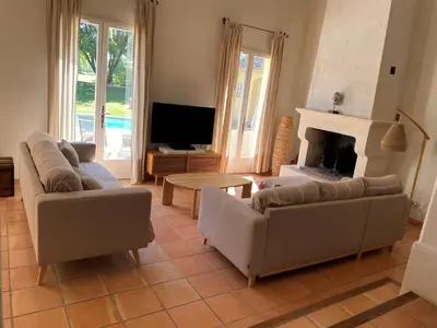 a living room with two couches and a fireplace at Villa-Provence-Pont-Royal in Mallemort