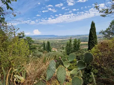 a view from the top of a hill with cactus at Le Bastidon des Mésanges in Gordes