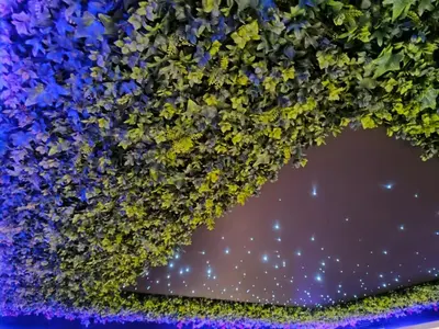 a vase filled with purple and yellow flowers at Multiverse Suite immersive in Charleval
