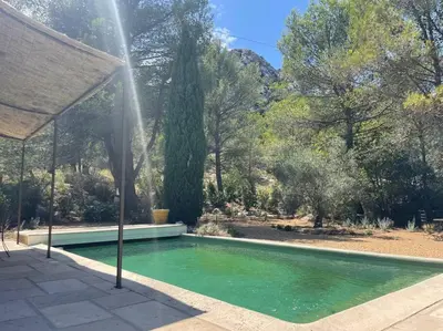 a swimming pool in a yard with a fountain at Mazet Rigodon Alpilles in Eygalières