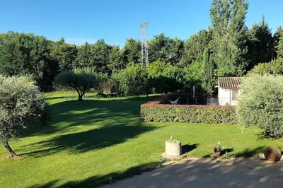 a garden with a lawn with trees and a hedge at le 1387 l'étape en Provence in Plan-dʼOrgon