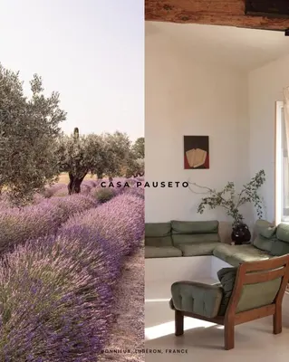 a room with a lavender field and a couch at Casa Pauseto in Bonnieux