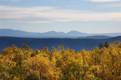 a group of trees with mountains in the background at Ecolieu Silenciane in Simiane-la-Rotonde