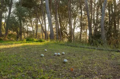 a group of balls on the grass in a field at Le gîte sous les pins in Les Taillades
