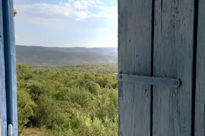 an open door with a view of a forest at Le petit gîte de Rosalie in Blauvac