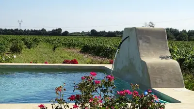 a fountain in a garden next to a field of flowers at Gîte au coeur du vignoble des Saumanes in Châteauneuf-de-Gadagne