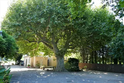 a patio with tables and chairs in front of a house at Mas des Lubières in Saint-Rémy-de-Provence