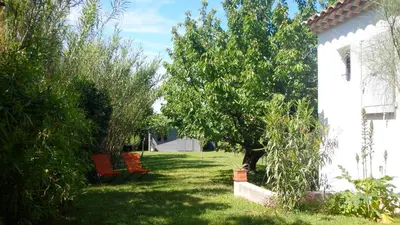 a yard with a bench and trees and a house at le gîte Lou Jas in Eyragues