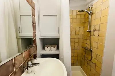 a bathroom with a sink and a shower at La Maison Maupas in Ménerbes