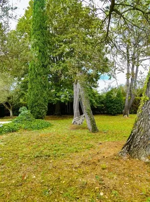 a sculpture in the grass next to two trees at Maison de campagne avec Piscine in Pernes-les-Fontaines