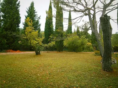 a park with trees and a field of grass at Maison de campagne avec Piscine in Pernes-les-Fontaines