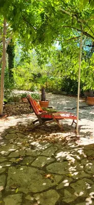 a hammock sitting under a tree in a yard at Une maison de famille dans le Luberon in Bonnieux