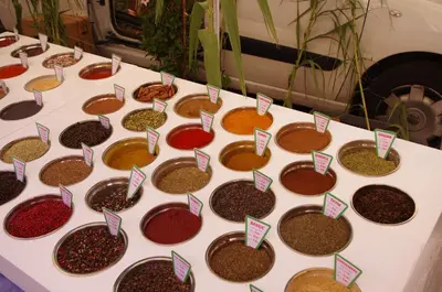 a table topped with lots of different types of seeds at Lei Meissoun in Mallemort