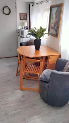 a wooden table with a potted plant on it in a living room at Nature in Cabrières-dʼAigues