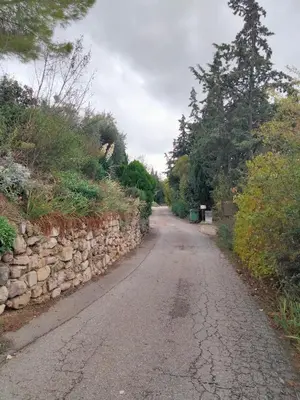 an empty road with a stone wall and trees at Nature in Cabrières-dʼAigues