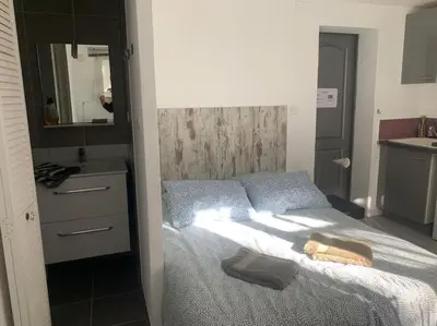a bedroom with a bed and a sink and a mirror at Studio indépendant en RDC de villa, parking in Pertuis