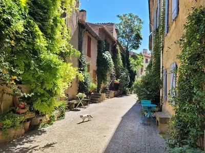 a cat walking down a street in an alley at Les voûtes du vieux village in Lauris