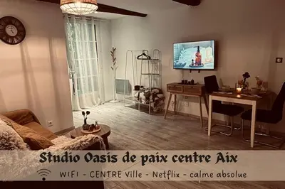 a living room with a bed and a table and a tv at Studio Oasis de paix centre Aix en Provence in Aix-en-Provence