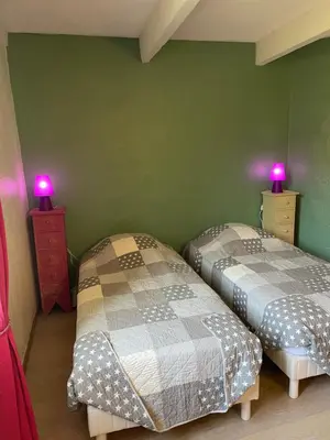 two twin beds in a room with green walls at Charmant duplex bucolique, piscine, en Provence in Le Beaucet