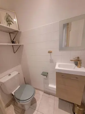a bathroom with a toilet and a sink at Appartement Au cœur de l'Isle in LʼIsle-sur-la-Sorgue