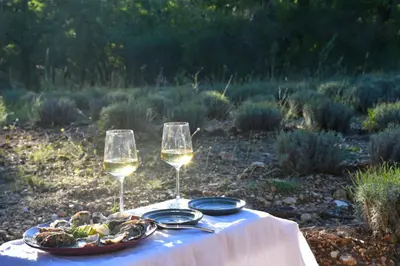 a table with two glasses of wine and a plate of food at La Piscine dans la Foret in Gordes
