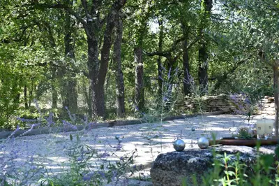 a garden with purple flowers and trees in the background at La Piscine dans la Foret in Gordes