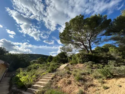 a set of stairs with a tree on a hill at La canopée, Bastide sur les hauteurs de Lourmarin in Lourmarin