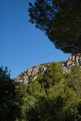 a mountain with trees and a blue sky at Charmant Cabanon en Provence in Vauvenargues