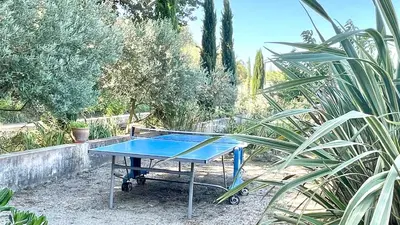 a blue ping pong table sitting in a garden at Rendez-vous en Provence -10 personnes- duo de gîtes- piscine privée - clim in Cheval-Blanc