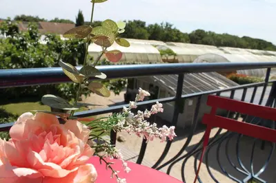 a pink flower sitting on a table on a balcony at Domaine Les feuilles de Chêne in Carpentras