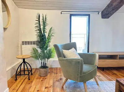 a living room with a chair and a plant at Le Scandinave in Aix-en-Provence