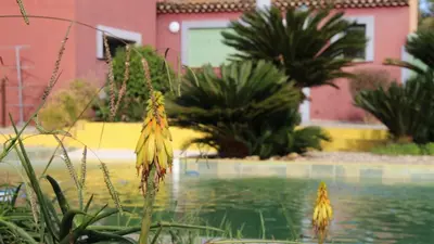 a pool of water with plants in front of a house at Studio Estrella - Studio 2 personnes - Domaine Astra, Grans in Grans