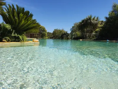 a pool of clear blue water with palm trees at Studio Estrella - Studio 2 personnes - Domaine Astra, Grans in Grans