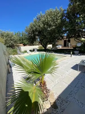 a palm tree in front of a swimming pool at Maison de Vacances en Provence in Venasque