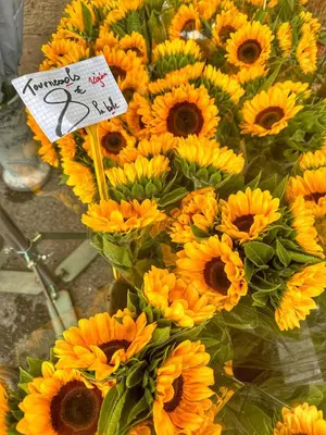 a bunch of yellow sunflowers with a sign on it at Les 3 Terrasses in Roussillon
