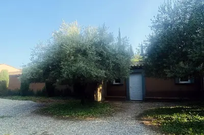 a tree in front of a house with a garage at Studio Soléa - Studio 2 - 4 personnes - Domaine Astra, Grans in Grans