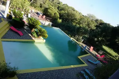 an overhead view of a swimming pool with palm trees at La Maison Alma - de 4 à 12 personnes - Domaine Astra, Grans in Grans