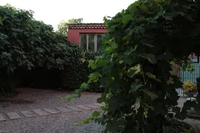 a building obscured by trees in a yard at La Maison Alma - de 4 à 12 personnes - Domaine Astra, Grans in Grans