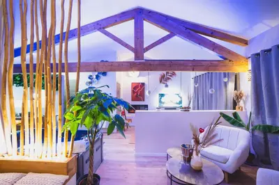 a bathroom with a shower with a ladder in it at Suite l'Olive Sacrée Spa et Sauna in Cabannes