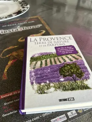 a book sitting on top of a table at Appartement spacieux en Provence in Châteaurenard